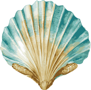 Seashell