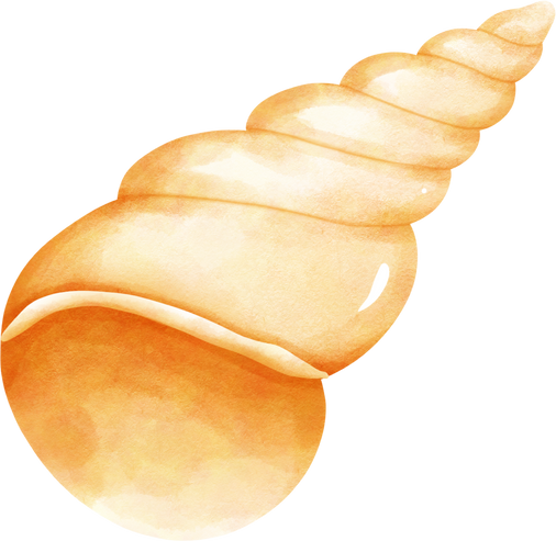 shell